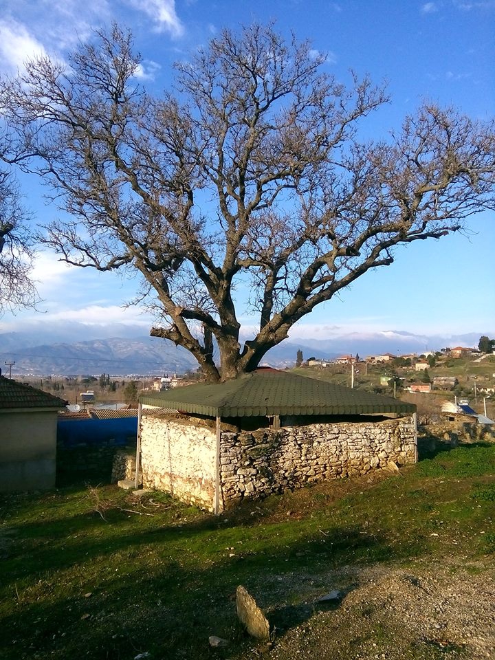 Efeler Balta Köyü Resimleri 4