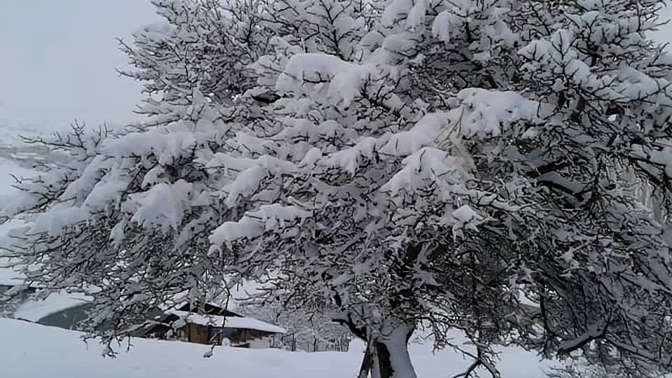 Divriği Gürpınar Köyü Resimleri 1