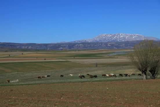 Divriği Gürpınar Köyü Resimleri 7