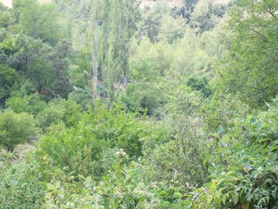 Adana Kozan Dağlıca Köyü Resimleri 10