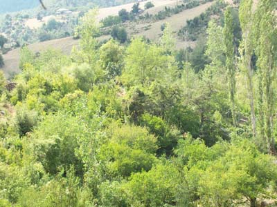 Adana Kozan Dağlıca Köyü Resimleri 2