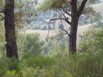 Adana Kozan Dağlıca Köyü Resimleri 4