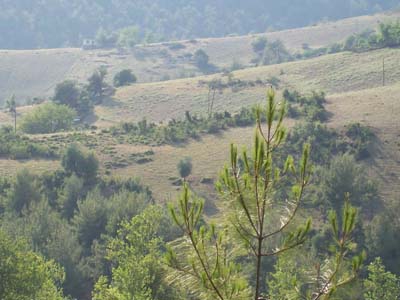 Adana Kozan Dağlıca Köyü Resimleri 8