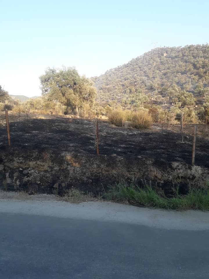 Efeler Böcek Köyü Resimleri 4