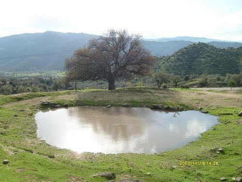 Efeler Böcek Köyü Resimleri 5
