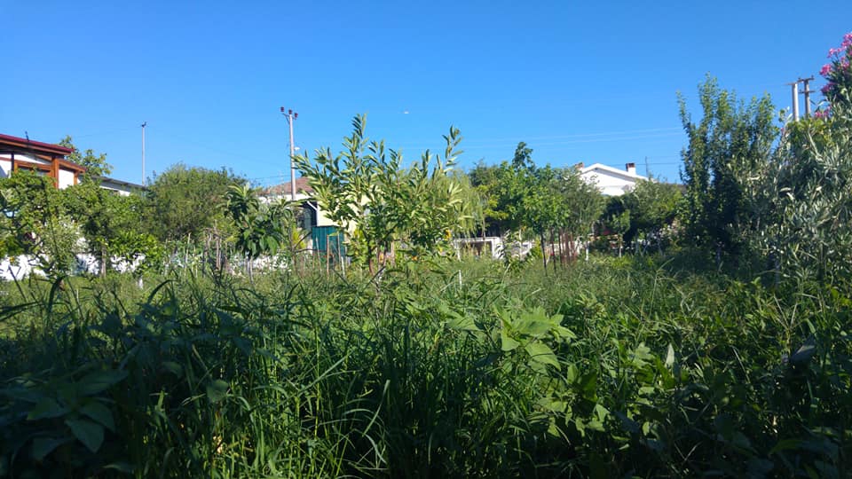 Efeler Böcek Köyü Resimleri 6