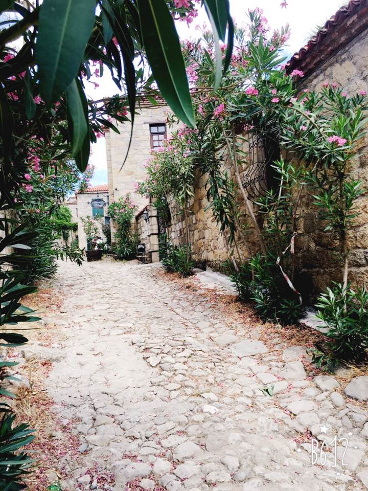 Efeler Böcek Köyü Resimleri 7