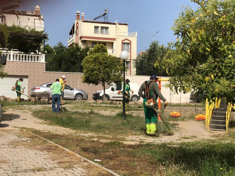 Efeler Cumhuriyet Köyü Resimleri 2