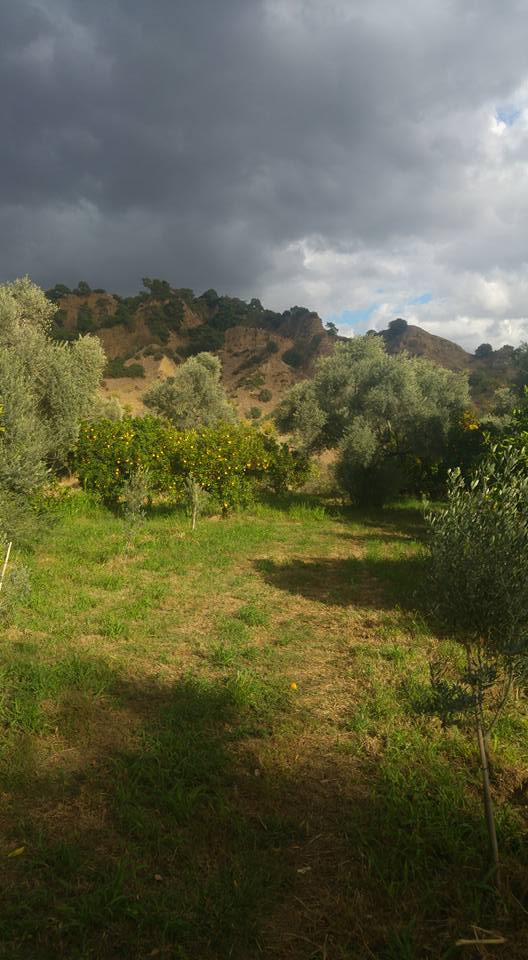 Efeler Çayyüzü Köyü Resimleri 1