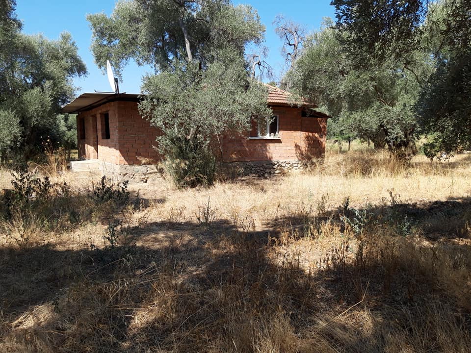 Efeler Çayyüzü Köyü Resimleri 2