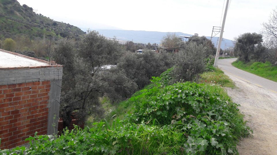 Efeler Çayyüzü Köyü Resimleri 5