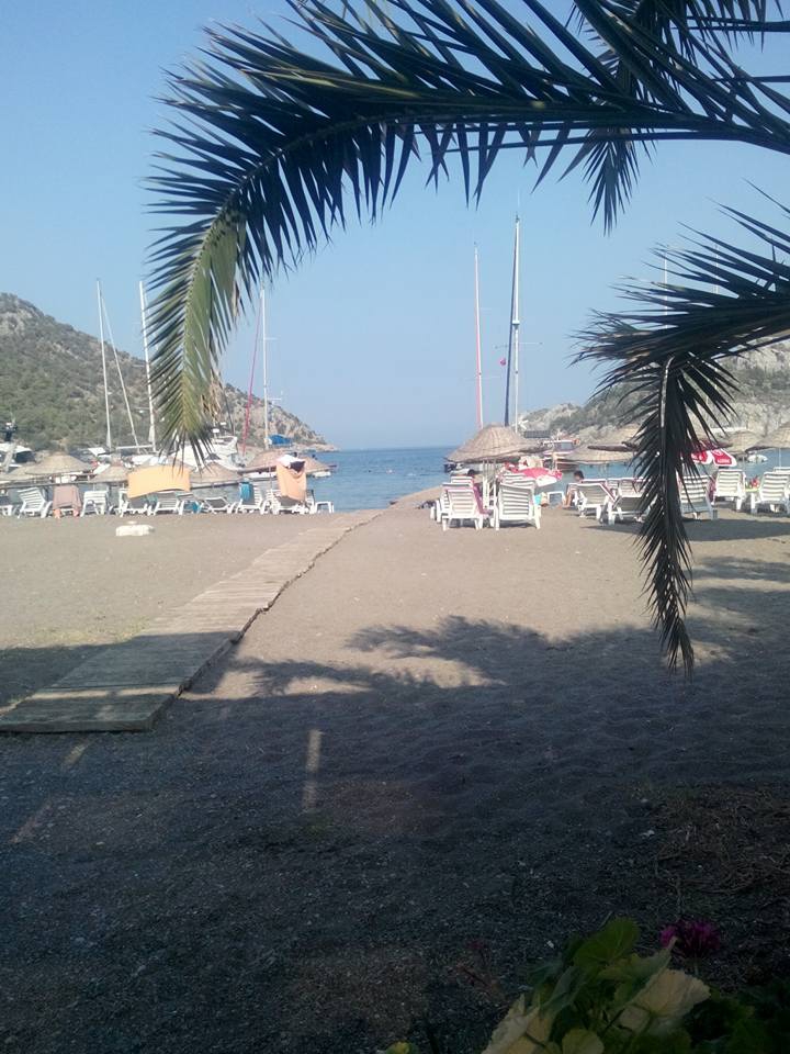 Efeler Çiftlik Köyü Resimleri 9