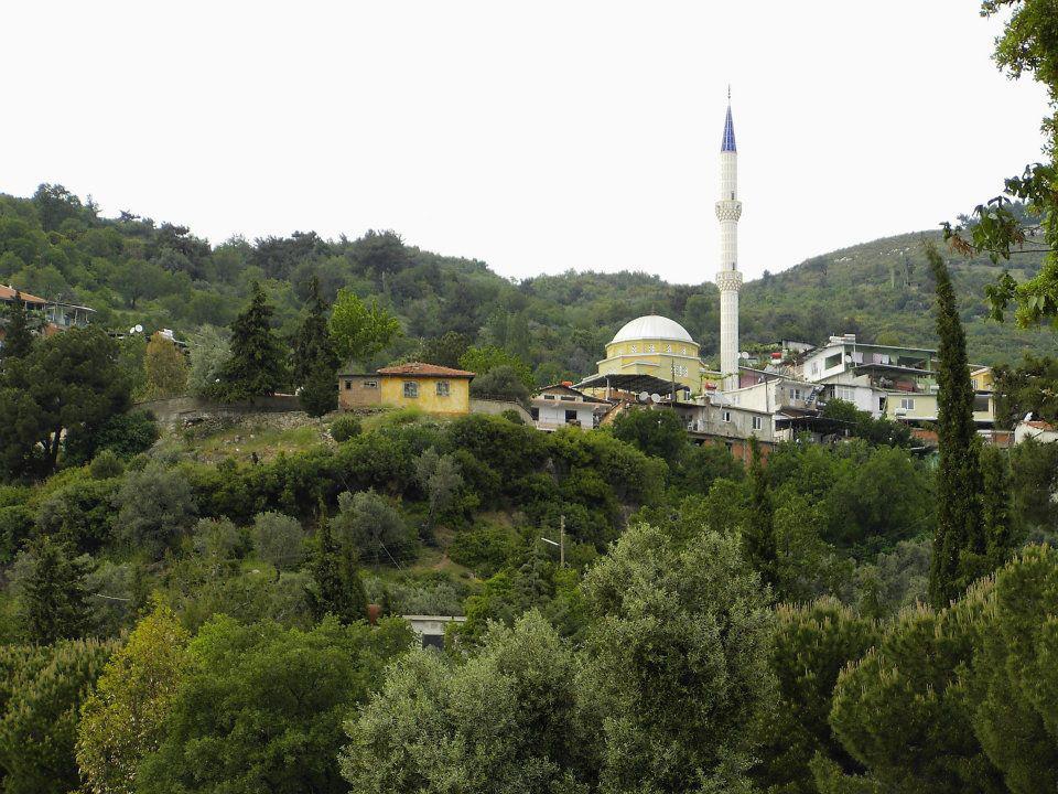 Efeler Dağeymiri Köyü Resimleri 3