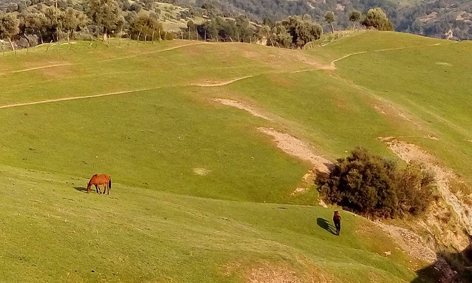 Efeler Danişment Köyü Resimleri 4