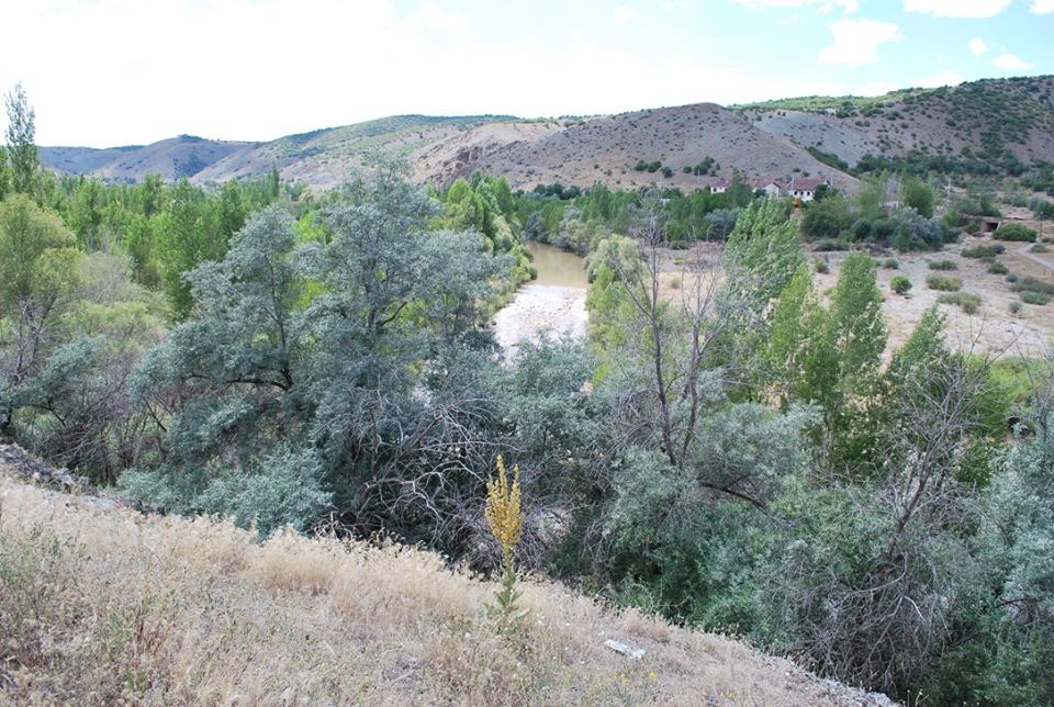 Divriği Güvenkaya Köyü Resimleri 17