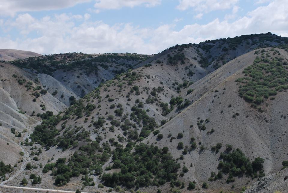 Divriği Güvenkaya Köyü Resimleri 6