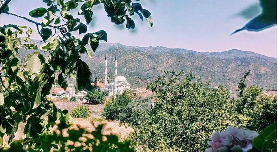 Efeler Eğrikavak Köyü Resimleri 1