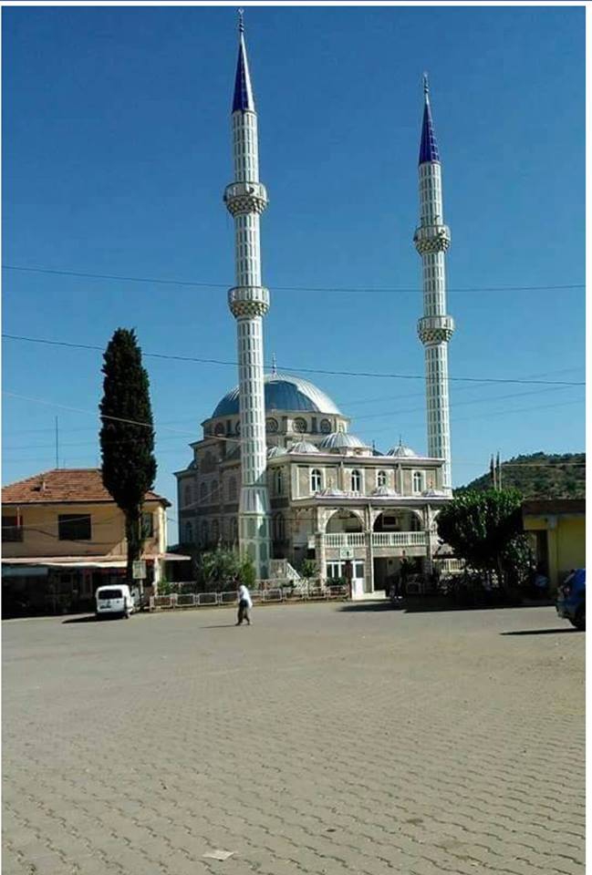 Efeler Eğrikavak Köyü Resimleri 10