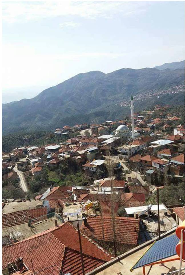 Efeler Eğrikavak Köyü Resimleri 11