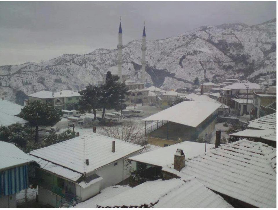 Efeler Eğrikavak Köyü Resimleri 2