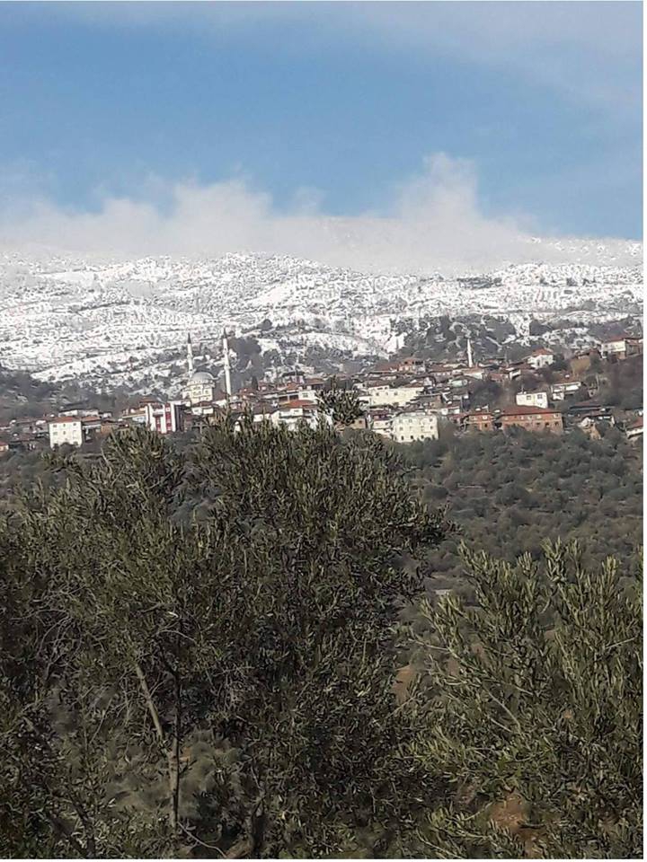 Efeler Eğrikavak Köyü Resimleri 5