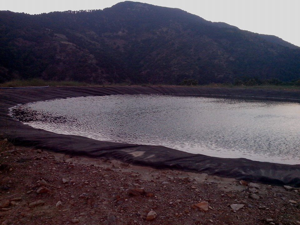 Efeler Eğrikavak Köyü Resimleri 7