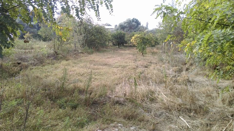 Efeler Emirdoğan Köyü Resimleri 1