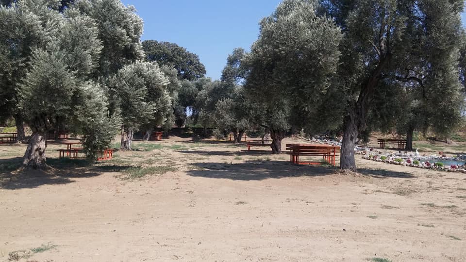 Efeler Gödrenli Köyü Resimleri 4