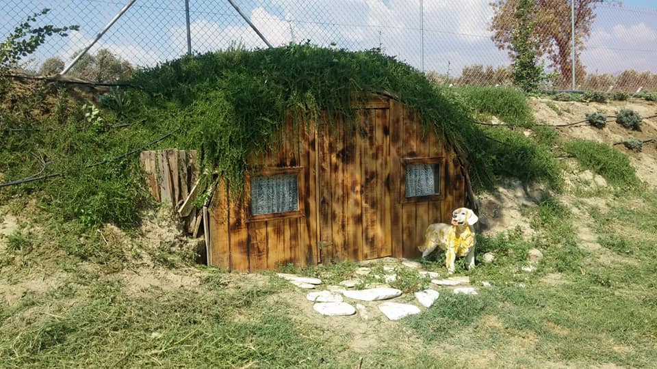 Efeler Gödrenli Köyü Resimleri 5