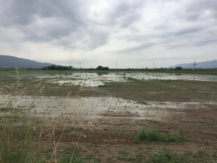 Efeler Gödrenli Köyü Resimleri 6
