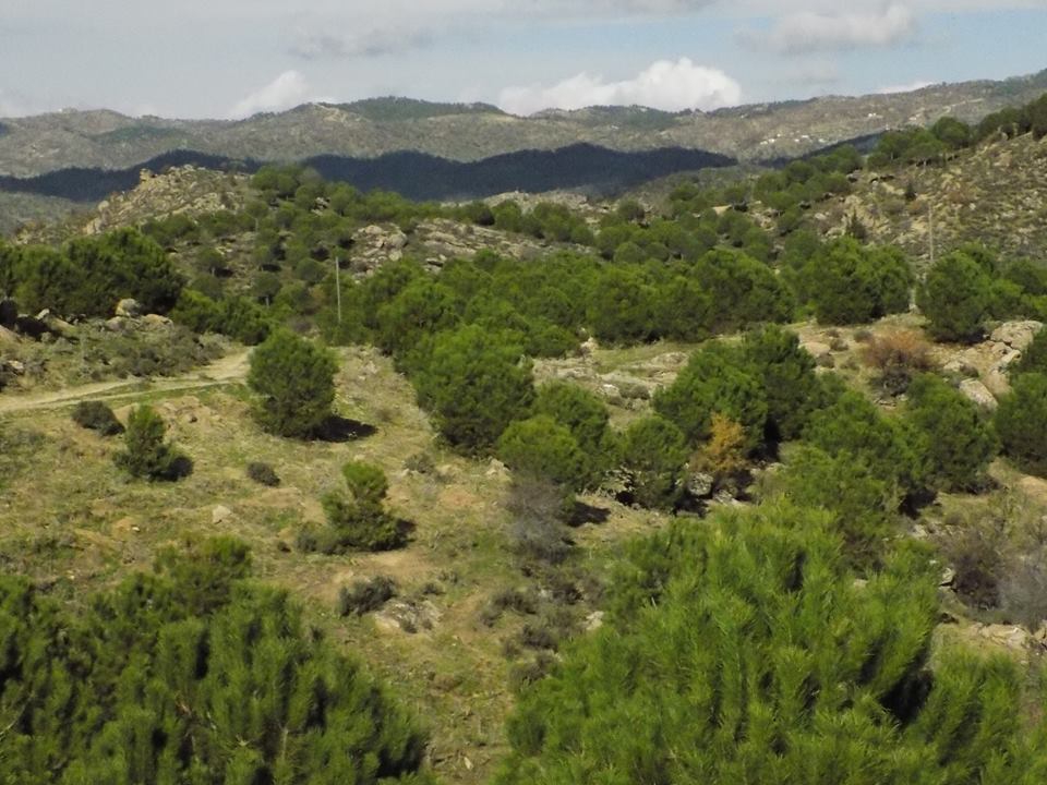 Efeler Gölcük Köyü Resimleri 5