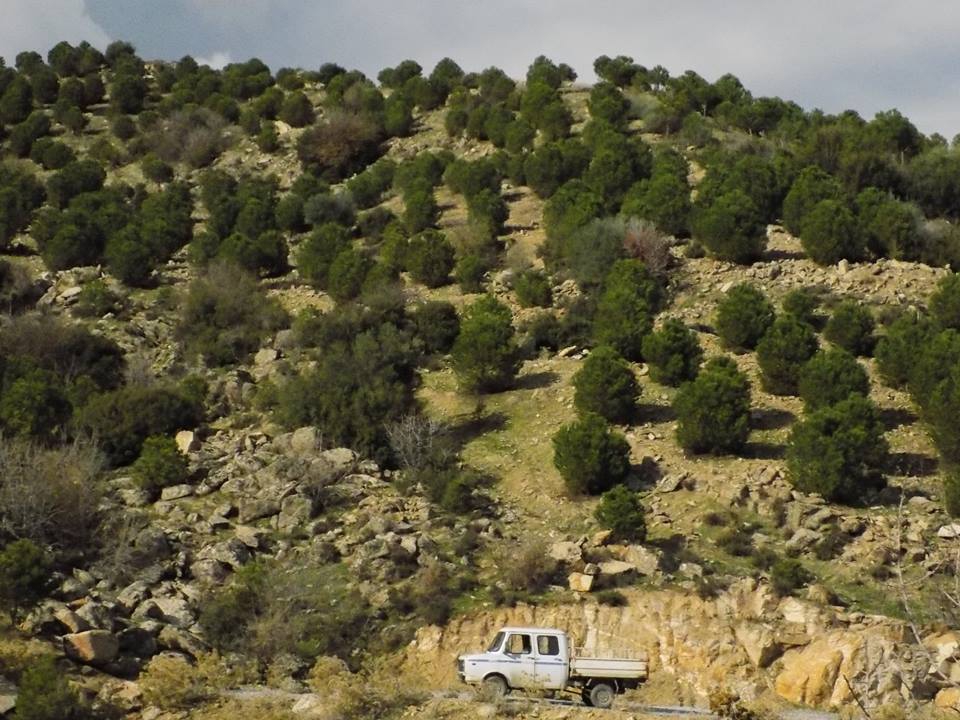 Efeler Gölcük Köyü Resimleri 9