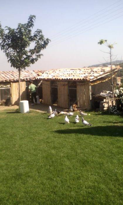 Efeler Gölhisar Köyü Resimleri 4