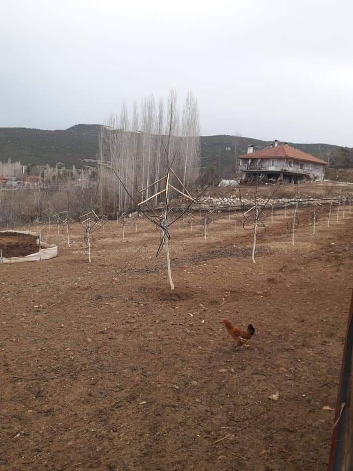 Efeler Gölhisar Köyü Resimleri 5