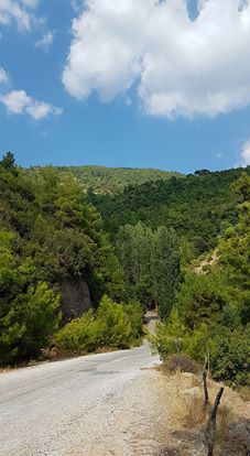 Efeler Gözpınar Köyü Resimleri 1