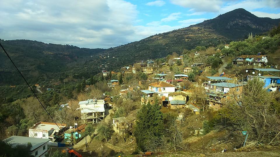 Efeler Horoz Köyü Resimleri 2