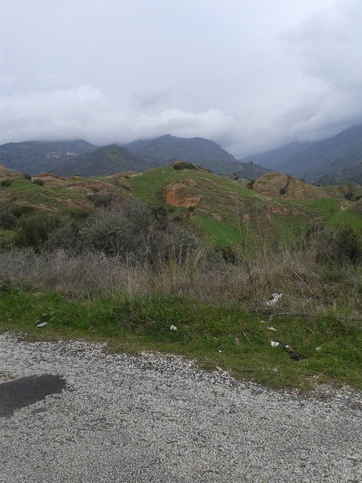 Efeler Horoz Köyü Resimleri 4