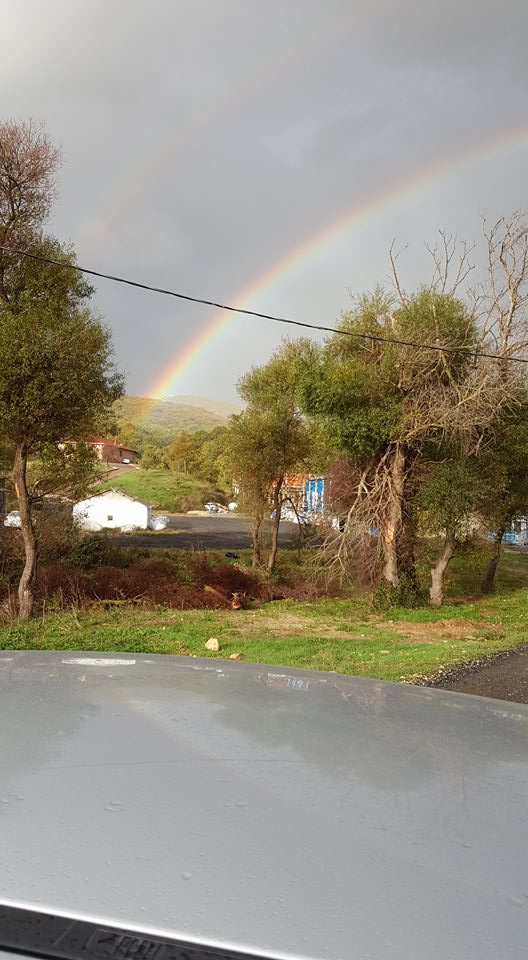 Efeler Kalfa Köyü Resimleri 3