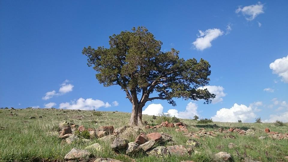 Divriği Höbek Köyü Resimleri 8