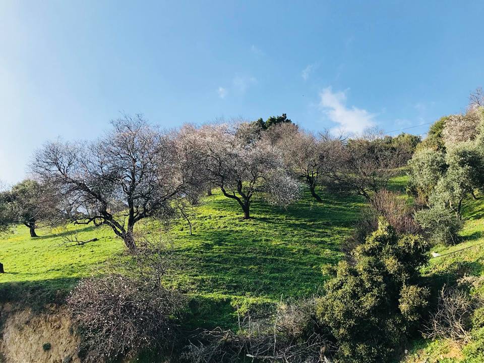 Efeler Kenger Köyü Resimleri 2