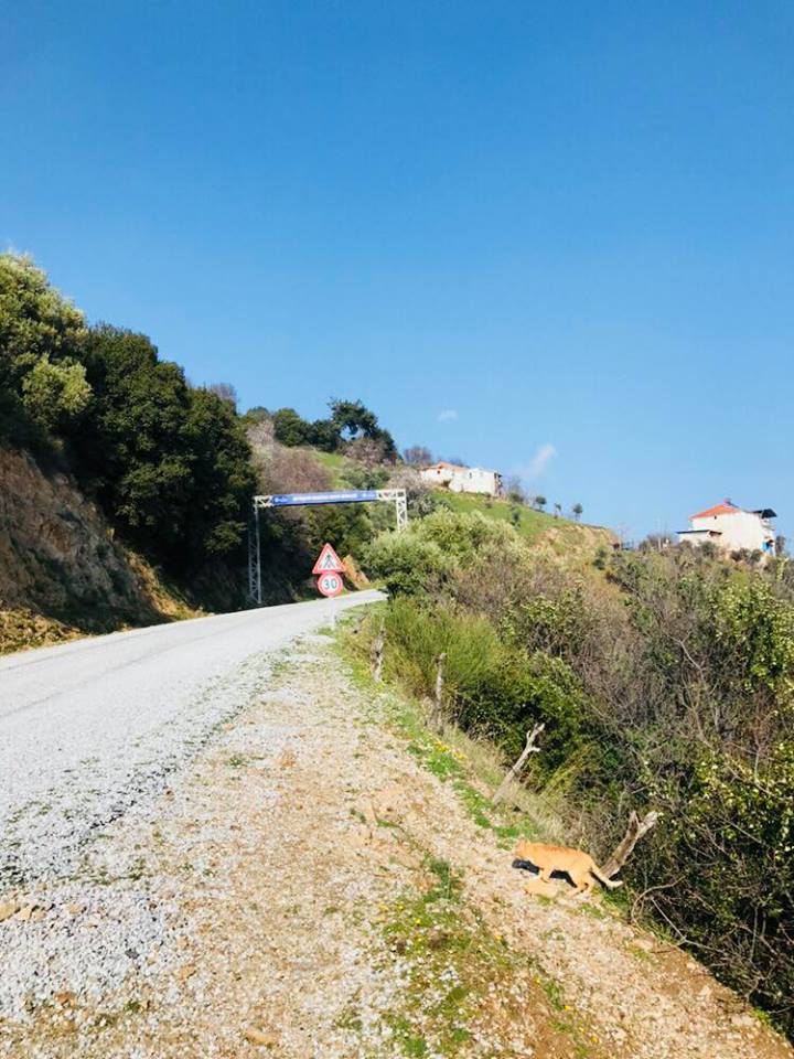 Efeler Kenger Köyü Resimleri 3