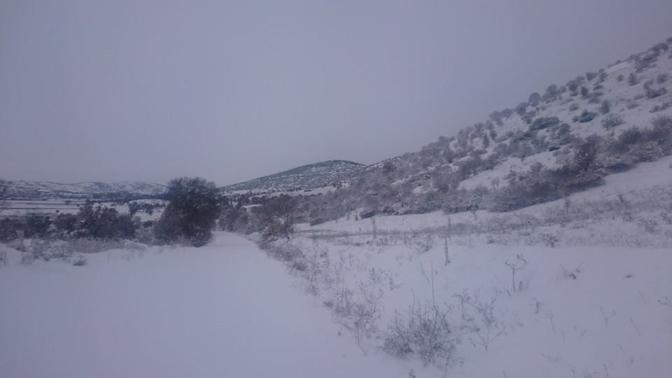 Efeler Kenger Köyü Resimleri 4