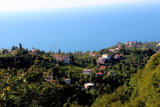 Efeler Kurtuluş Köyü Resimleri 1