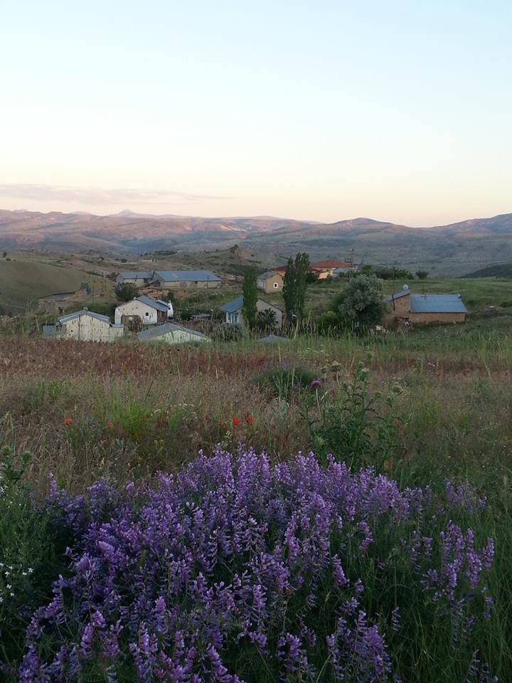 Divriği İmirhan Köyü Resimleri 3