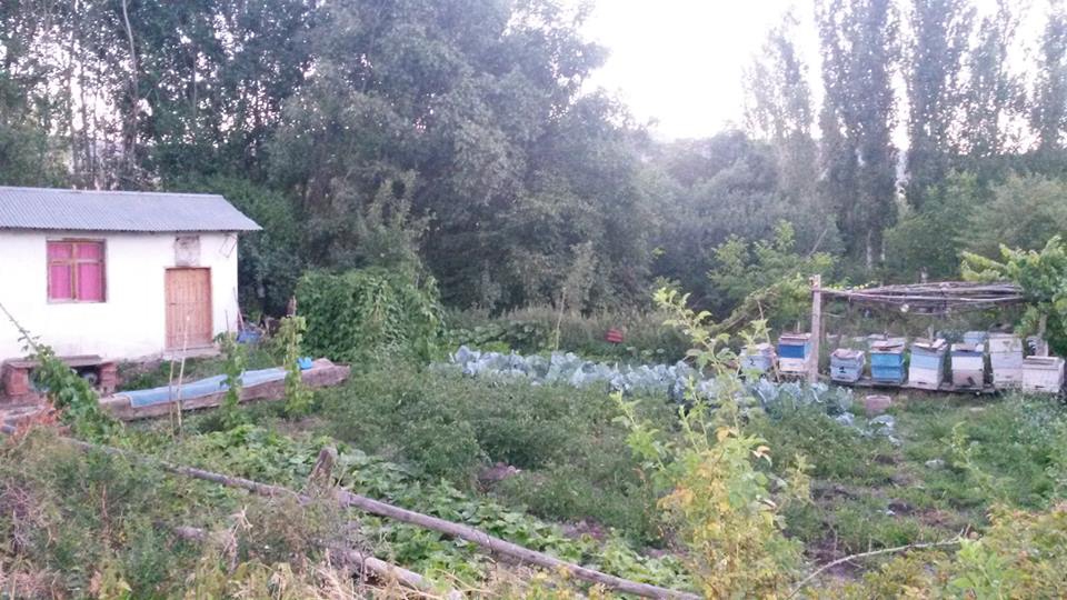 Divriği İnanlı Köyü Resimleri 13