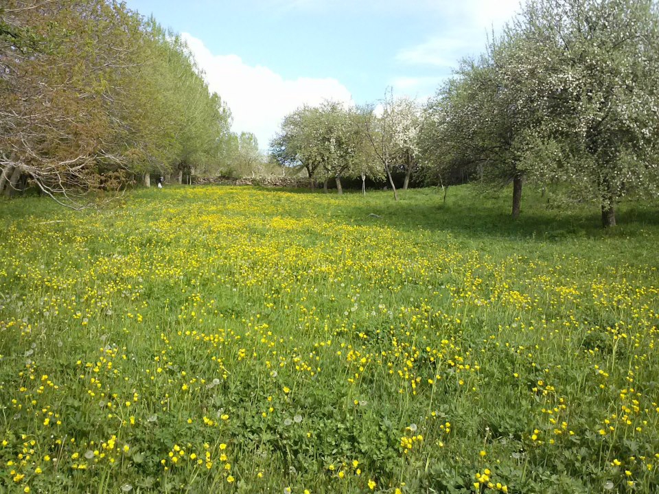 Divriği İnanlı Köyü Resimleri 21