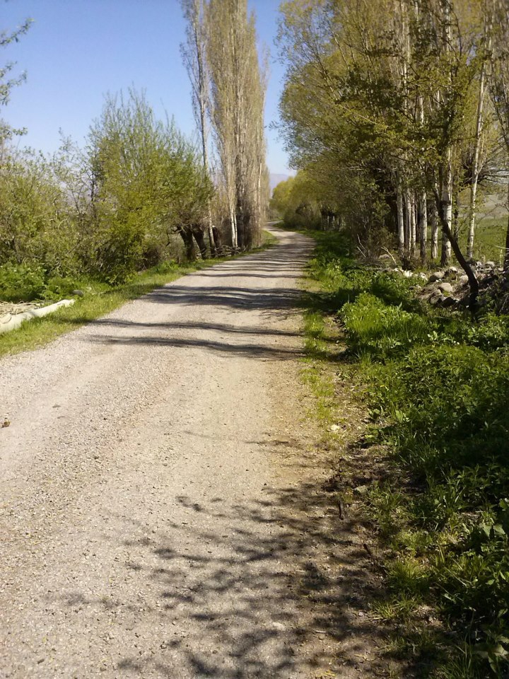 Divriği İnanlı Köyü Resimleri 24