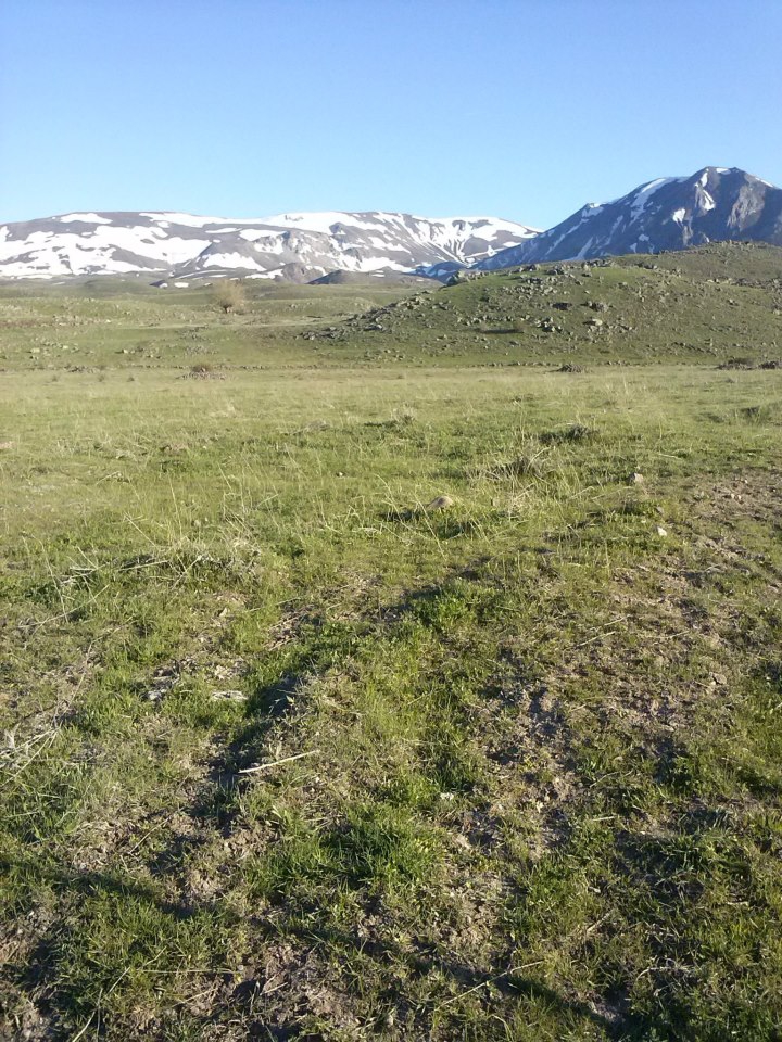 Divriği İnanlı Köyü Resimleri 26