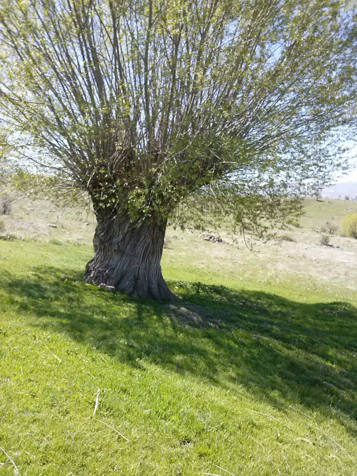 Divriği İnanlı Köyü Resimleri 30