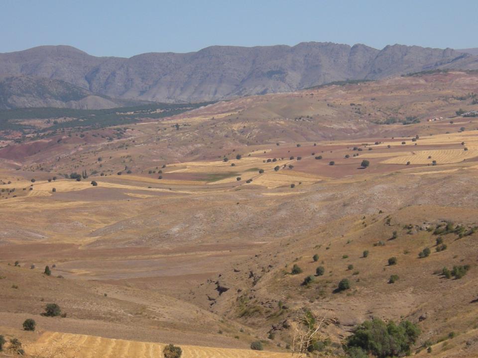 Divriği İncirlipınar Köyü Resimleri 11